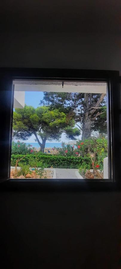 Alcossebre Apartamento Frente Al Mar מראה חיצוני תמונה